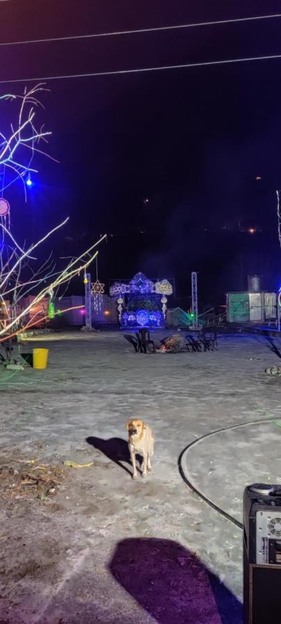 Stayhigh Camps & Cottages Kasol Esterno foto